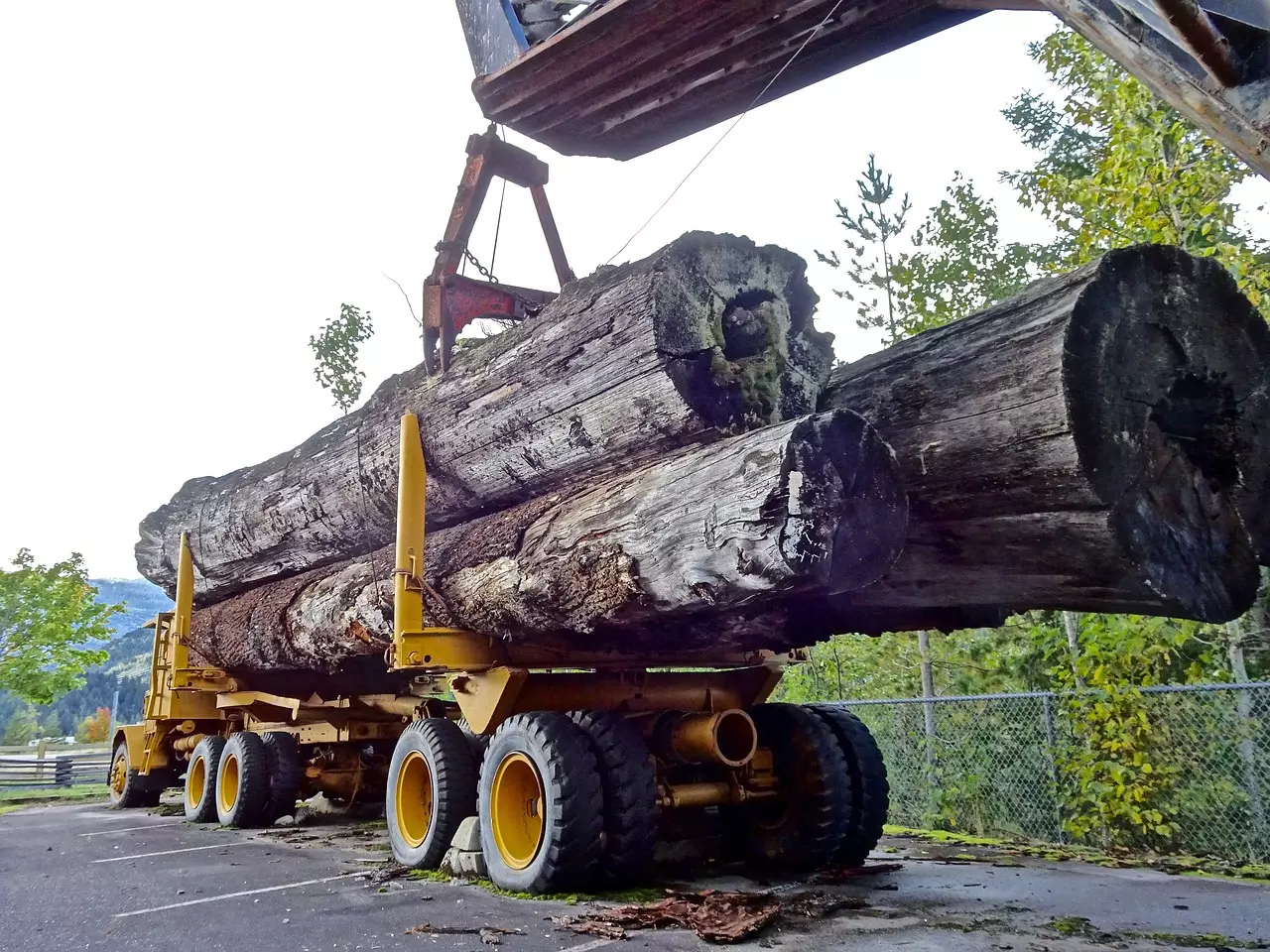 Eine Ausbildung dauert in der Regel drei Jahre. (Symbolfoto) Holz wird mit einem Kran auf einen LKW geladen