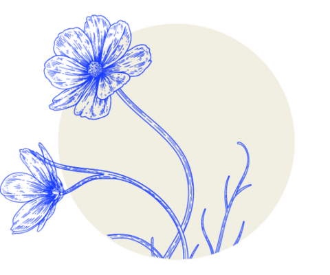 Bild Blüte